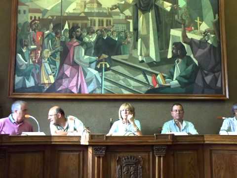 11 08 2010 Pleno urgente y extraordinario 001