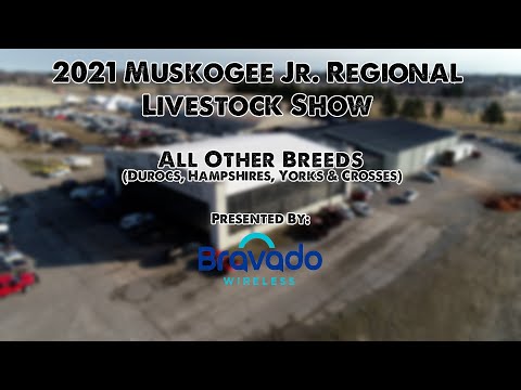 2021 Muskogee Regional Junior Livestock Show! | MAJOR BREED SWINE