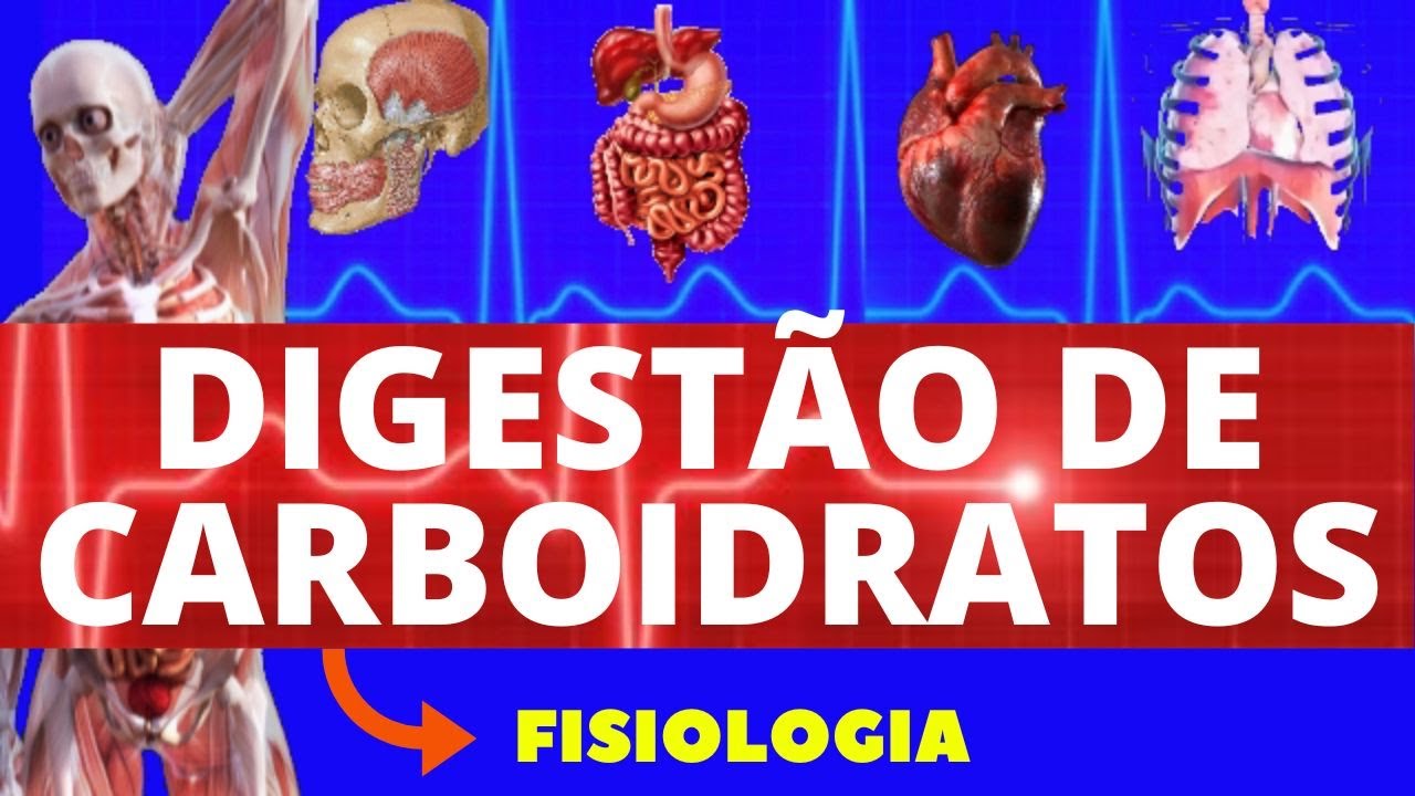 DIGESTÃO DE CARBOIDRATOS (FISIOLOGIA GUYTON) - FISIOLOGIA DO SISTEMA DIGESTÓRIO - FISIOLOGIA HUMANA