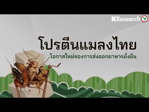 ภาพปกวิดีโอจาก YouTube