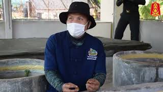 แม่ทัพภาคที่ 2 ตรวจเยี่ยมโครงการทหารพันธุ์ดีมณฑลทหารบกที่ 23