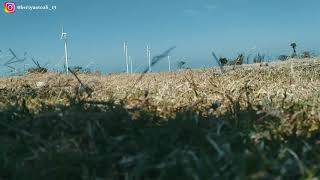 Download lagu Story WA  Lagu Makassar mp3