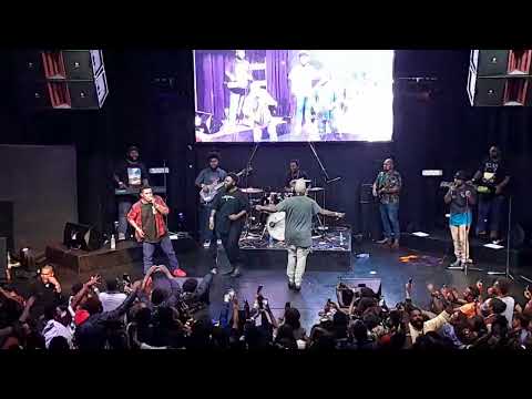 NEW IRELAND NIGHT 2024 - Maimai Inc _ Tears