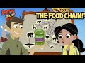 Wild Kratts The Chain Food Game Full Episode Kratts Series HD Science Krattsseries