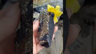 Pyrit na uhlí 130g