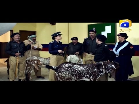 SHE - Episode 12 - HAR PAL GEO DRAMAS