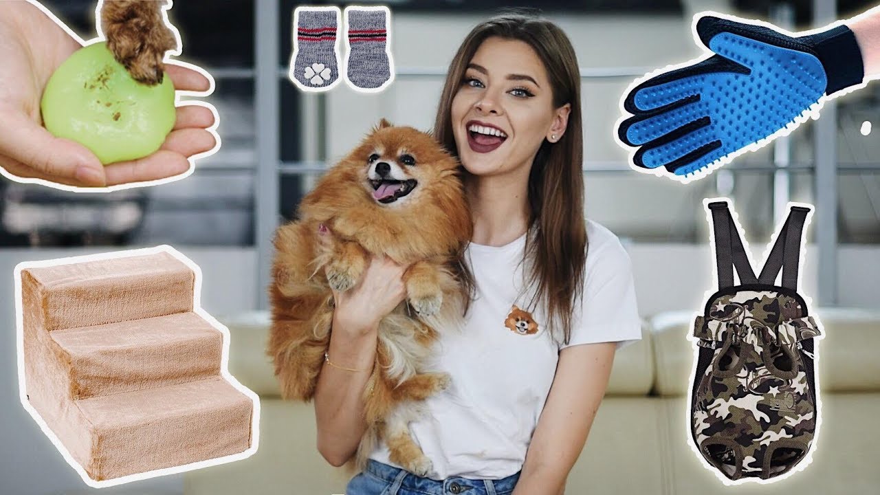 TEST GADŻETÓW DLA PSÓW - genialne czy bezużyteczne 🐾