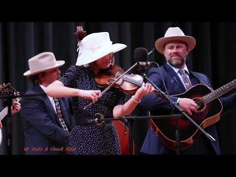 Carolina Blue   "Orange Blossom Special"