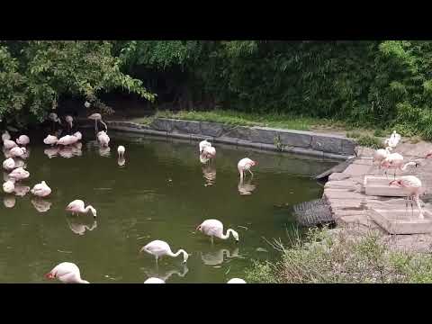 16 de Febrero 2026 - Buenos Aires 🇦🇷Ecoparque.