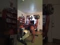 Dumbbell Bench Press 120 lb dumbbells × 11 pause reps #shorts#viral