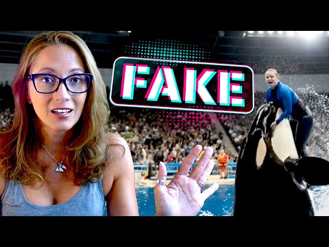 Did an Orca Attack Trainer Jessica Radcliffe?