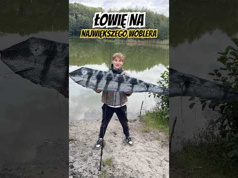 Największy wobler Świata 😄🌍 #dc #fishing #nateb #okoń #fishinglife