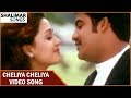 Cheliya Cheliya Video Song Allari Ramudu Jr N T R Aarti Agarwal Gajala Shalimar Songs