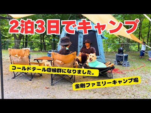 ハラルド・グロックラーにとってジャングルキャンプで特に「困難」だったこと