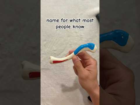 Clavicle Explained and Oriented (left or right) #anatomy #bones #science #chiropractic #medstudent