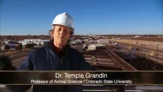 Video Tour of Beef Plant Featuring Temple Grandin