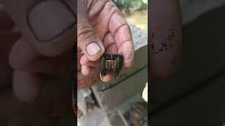 Impressionante quanto descarte de sucata eletrônica neste Rio em Itatiba SP