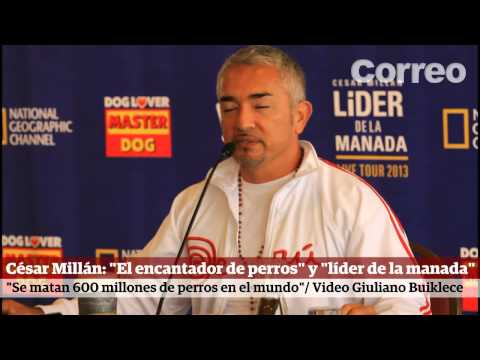 Encantador de perros