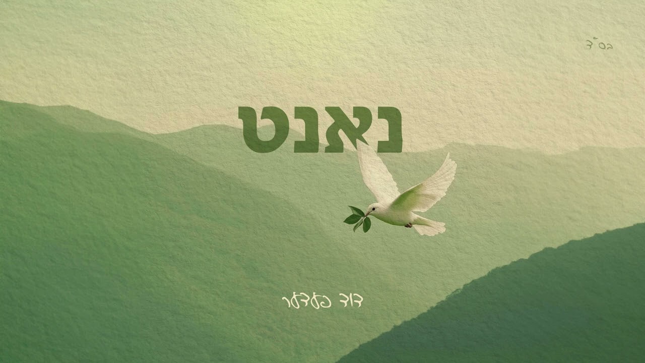 דוד פדר – Close – Duvid Feder • דוד פעדער – נאנט