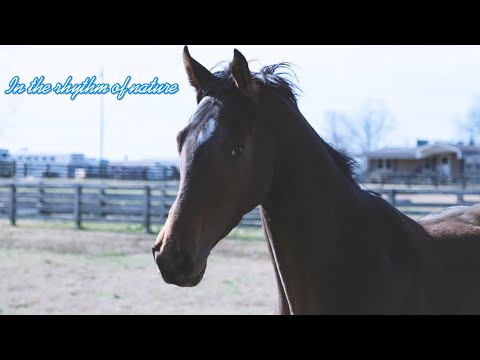 In the rhythm of nature!  For your relaxation and positivity!