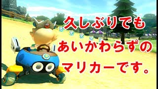 【マリカー８DX】久しぶりでも全く変わらない被弾率