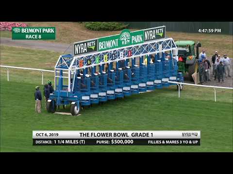 Sistercharlie - 2019 - The Flower Bowl en Espanol