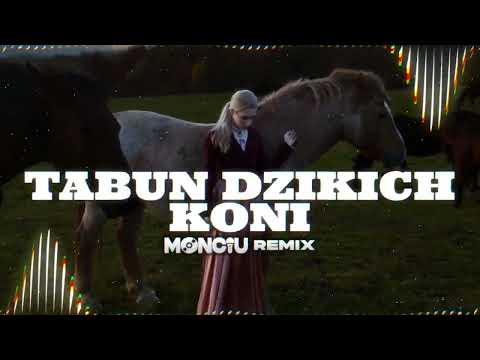 Tabun dzikich koni (Monciu Remix)