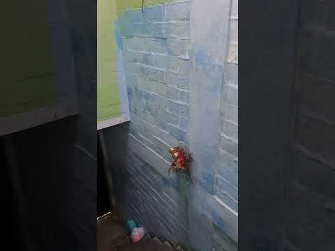 ES UNA GRAN OPORTUNIDAD, VENDO, CASA BIFAMILIAR COMUNA 5, VILLA DEL PRADO, CALI, $165' 3168496616