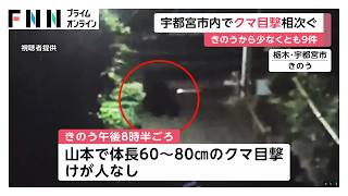 栃木・宇都宮でクマ目撃情報相次ぐ　体長60～80センチ（2026年06月07日）
