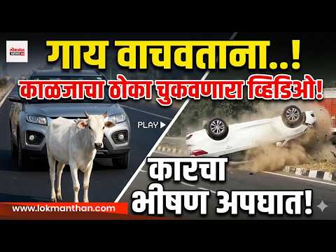 राजस्थानमध्ये काळजाचा ठोका चुकवणारा व्हिडिओ! गायीला वाचवताना कारचा अपघात