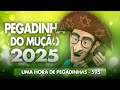 1 Hora De Trote E Pegadinha Do Mução Volume 595 Viral Humor