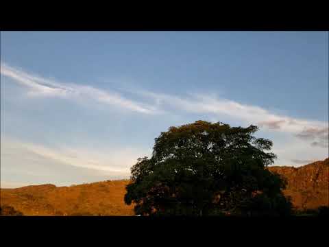 John McLaughlin Trio (with Jeff Berlin & Trilok Gurtu), Vincennes (1988)