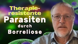 Parasit Toxoplasma: Therapie-Blockade durch Borreliose und Chlamydiose. Dr. Uwe Auf der Straße