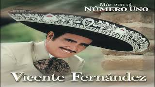 Los Tiros De Mi Canana   Vicente Fernandez - Letra