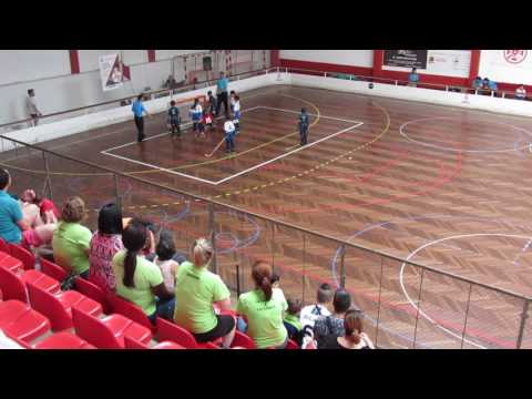 HOQUEI PATINS 2016/2017 / BENJAMINS / I Tor. Carlos Bernardino "Camané" / CRIAR T  25 - 1 UDC Nafarr