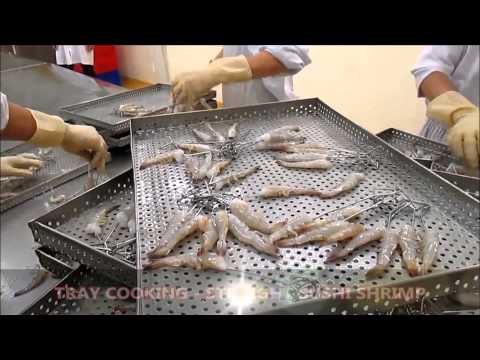 Arico Steam Cooking & Cooling Machine