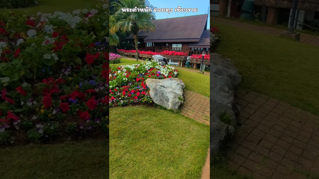 YouTube Short thumbnail