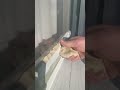 window glazing repairs