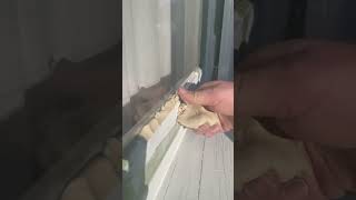 window glazing repairs