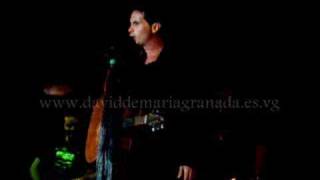 David Demaria 'Amores'