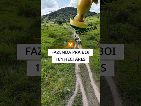 EXCELENTE PROPRIEDADE 164,56 HECTARES TEÓFILO OTONI-MG R$ 3.8 MILHÕES #fazenda #gado #luxo #agro