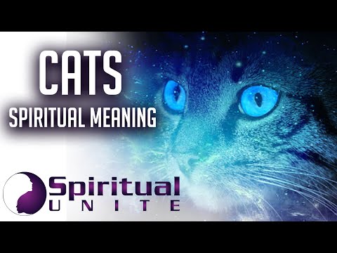 Cats Spiritual Meaning - More Than Just Furry Family