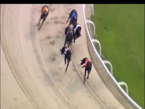 2017 DERBY PLATE - HEAT 2 - T6 MAGLASS RAZZLE