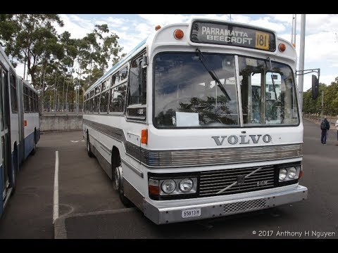 Harris Park Transport / AJ Moore [Harris Park] Volvo B10M Mk I / Custom Coaches, 65813-H