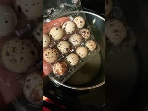 , title : 'How to Prepare and Boil Quail Eggs for Perfect Results'