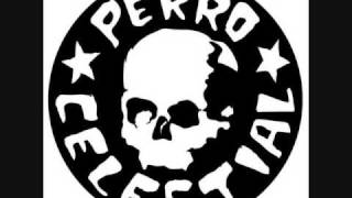 modest mouse the whale song