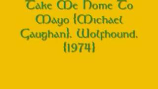 Take Me Home To Mayo {Michael Gaughan} - Wolfhound