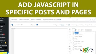 How to Add JavaScript for Specific Posts and Pages in WordPress