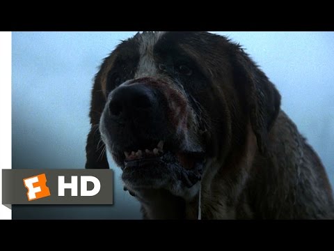 Cujo (3/8) Movie CLIP - What's the Matter? (1983) HD