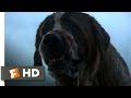 Cujo 3 8 Movie CLIP What S The Matter 1983 HD